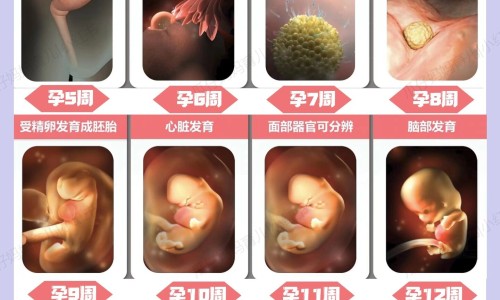 哺乳期怀孕奶水立刻减少网 | 哺乳期怀孕了打掉还能继续哺乳吗,哺乳期怀孕几率有多大