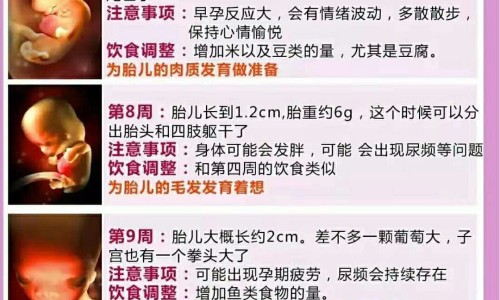 哺乳期怀孕奶水立刻减少网 | 哺乳期怀孕了打掉还能继续哺乳吗,哺乳期怀孕几率有多大